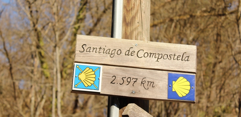 Llevar el coche al camino de Santiago, ¿Conviene?